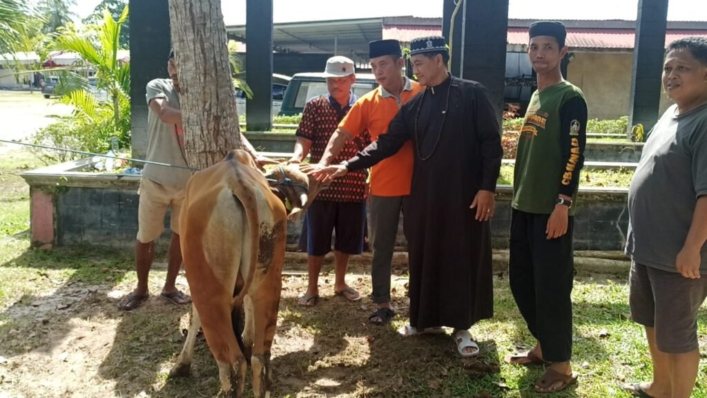 WhatsApp Image 2025-06-06 at 19.47.15