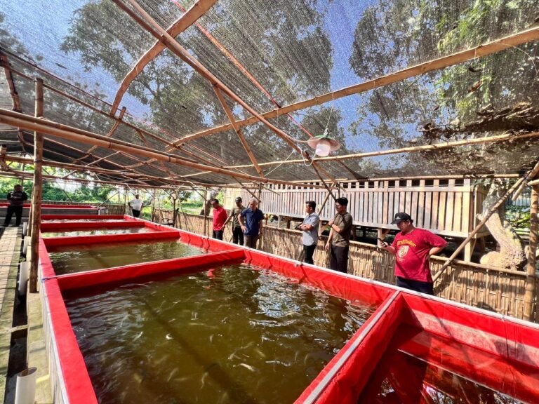 WhatsApp Image 2025-09-23 at 20.23.56_c4168571