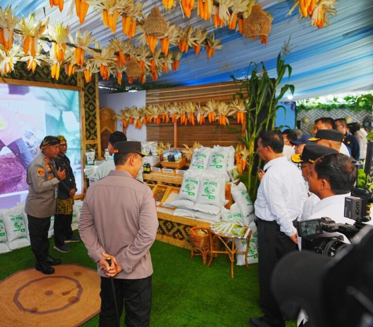 WhatsApp Image 2025-10-08 at 15.39.27