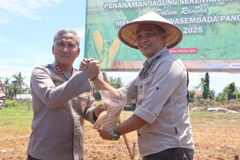 WhatsApp Image 2025-10-08 at 15.39.34