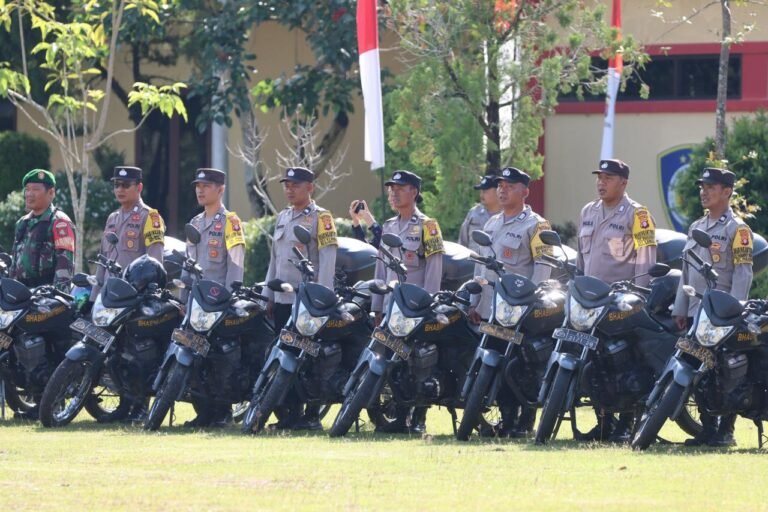 WhatsApp Image 2025-11-05 at 15.45.42