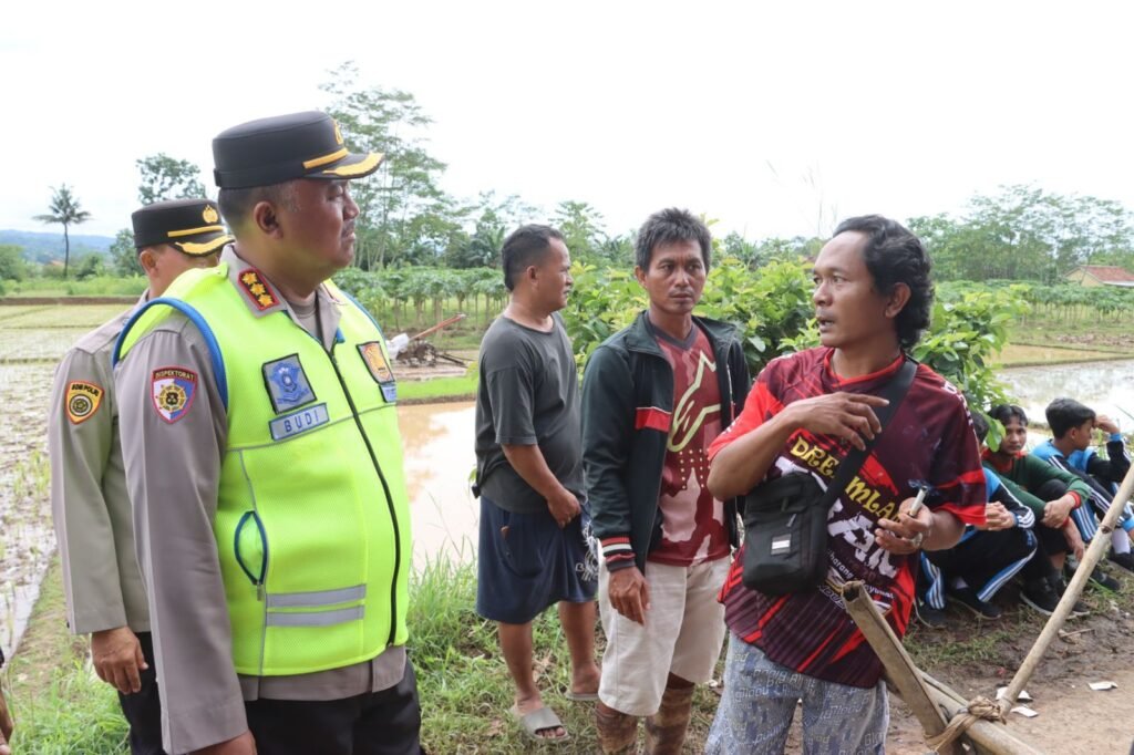 WhatsApp Image 2025-11-14 at 13.14.26