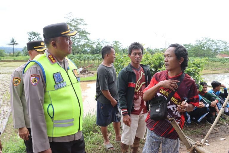 WhatsApp Image 2025-11-14 at 13.14.26