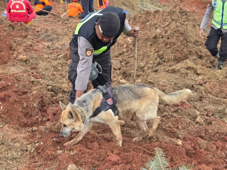 WhatsApp Image 2025-11-15 at 17.18.27