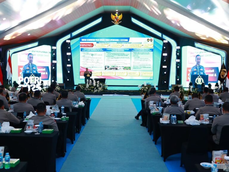 WhatsApp Image 2025-11-25 at 17.15.39