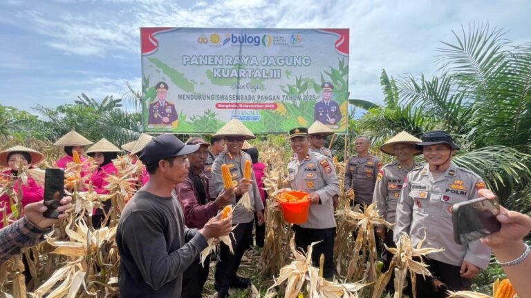 cd4352eb-d4e7-45ed-94d8-9628b8b82099