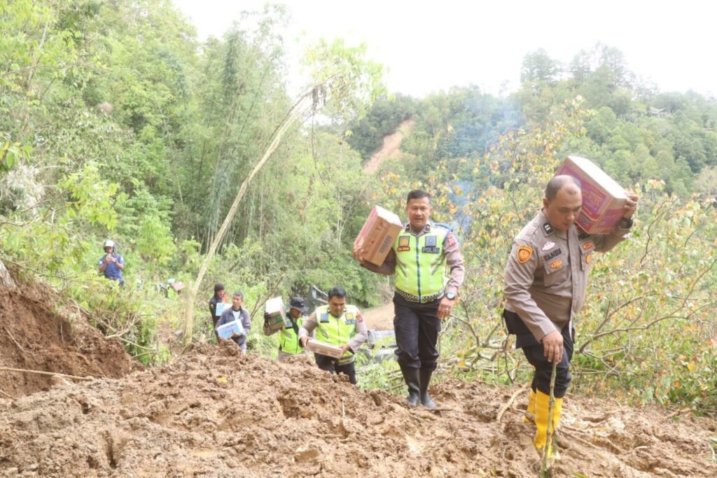 WhatsApp Image 2025-12-03 at 17.07.03 (2)