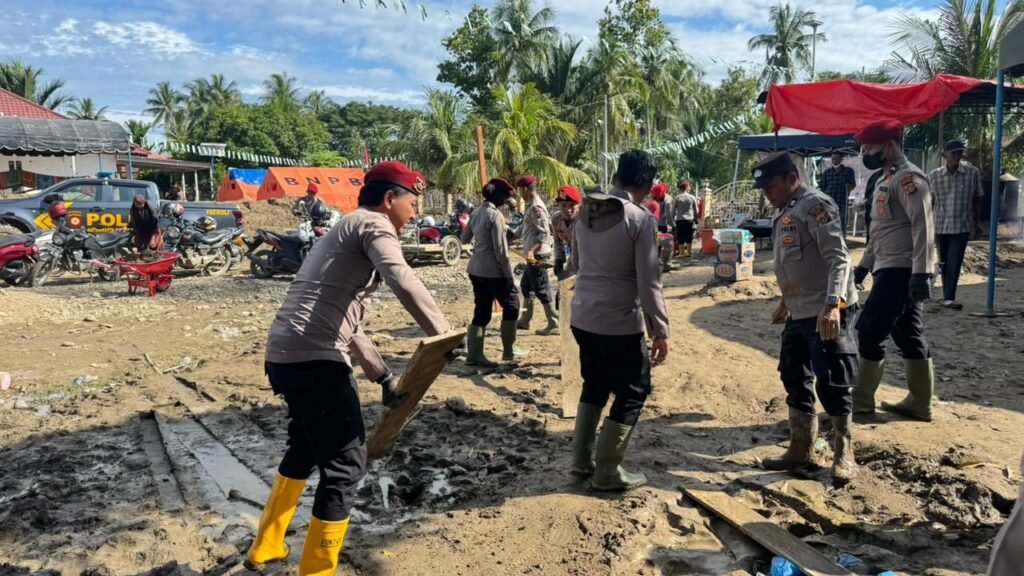 WhatsApp Image 2025-12-20 at 21.51.15 (1)