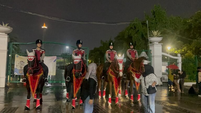 WhatsApp Image 2026-01-01 at 16.53.23 (1)