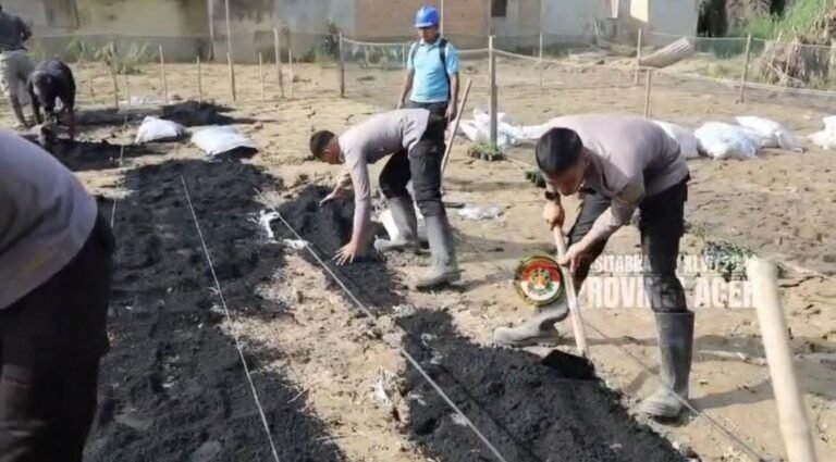 Taruna Akpol Pulihkan Ketahanan Pangan dan UMKM Warga Aceh Tamiang Lewat Pekarangan Pangan Lestari